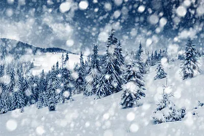 TempÃªte jigsaw puzzle