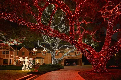 imagem jigsaw puzzle