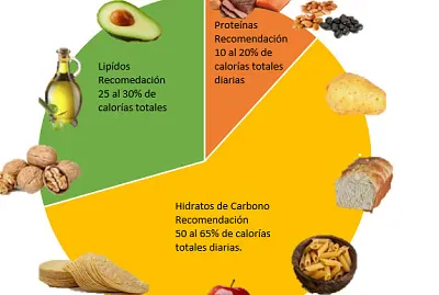 RecomendaciÃ³n de Macro nutrimentos jigsaw puzzle
