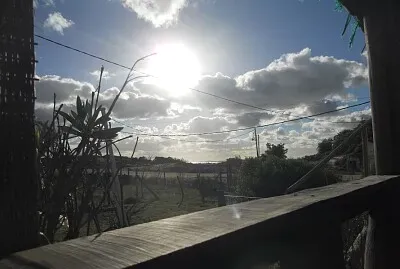 Guarda do embaÃº jigsaw puzzle