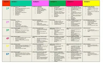 Rompecabezas equipo 5 Mapa curricular