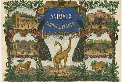 Les animaux du Jardin des plantes, couvercle de bo