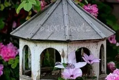 pajarera jigsaw puzzle