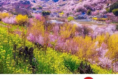 imagem jigsaw puzzle