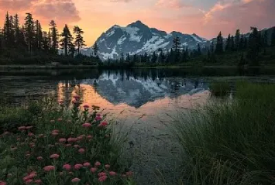 Natural jigsaw puzzle