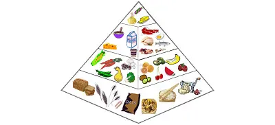 Piramida alimentelor jigsaw puzzle