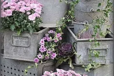 flores