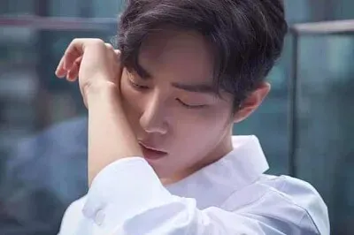 ä¸­åœ‹å¤§é™¸ç”·æ¼”å“¡ è‚–æˆ° jigsaw puzzle