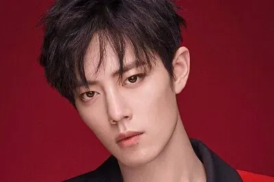 Chinese actor Xiao Zhan jigsaw puzzle