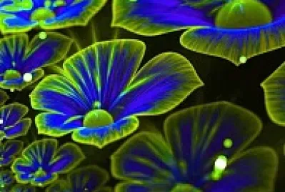 Green Flower