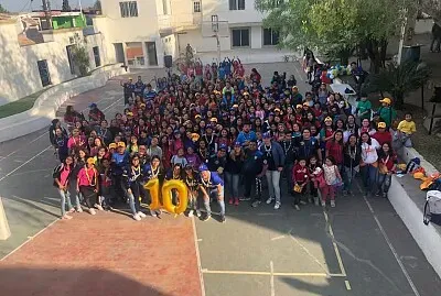 פאזל של zona T