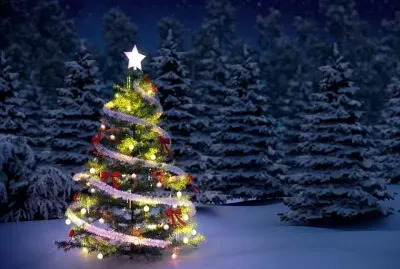 christmas tree