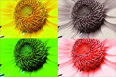 åœ–ç‰‡æ•ˆæžœèª¿æ•´é¸å–è‰²å½©