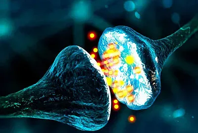 CONEXIÃ“N SINÃPTICAvvv