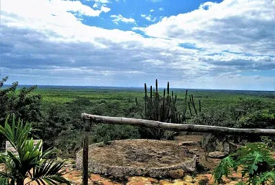Paisaje sureÃ±o, YucatÃ¡n.