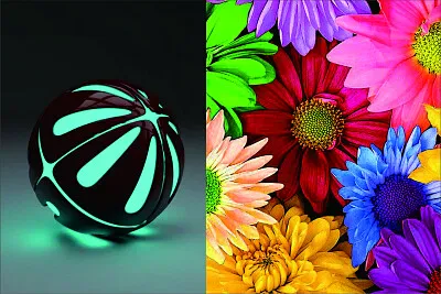 ç„¡é¡Œä½µåœ–