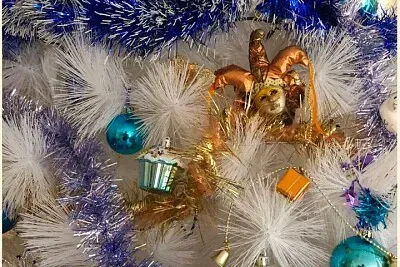 Mon Sapin jigsaw puzzle