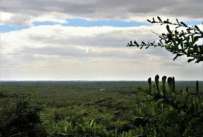 Paisaje yucateco.
