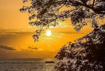 CENÃRIO K276 jigsaw puzzle