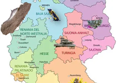 Animales en extincion jigsaw puzzle