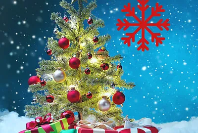 BrÄƒduÈ› de CrÄƒciun