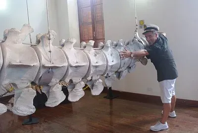 cawboy jigsaw puzzle