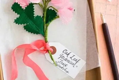 delicadeza jigsaw puzzle