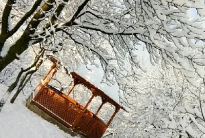 Iarna Ã®n grÄƒdina mea