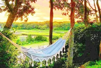 hamaca
