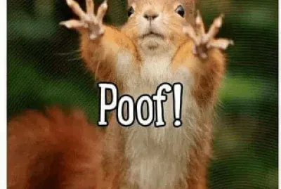 funny wildlife 1
