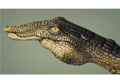 espaÃ±ol6 jigsaw puzzle