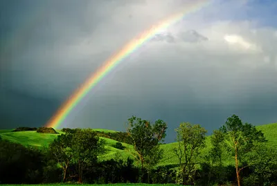 ×§×©×ª ×‘×¢× ×Ÿ jigsaw puzzle