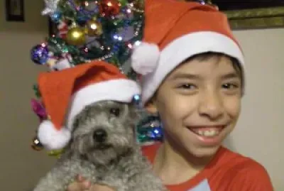 פאזל של navidad
