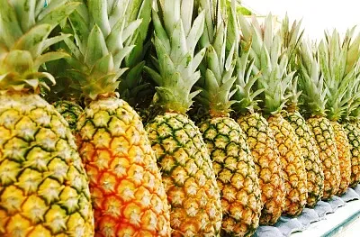 piÃ±a