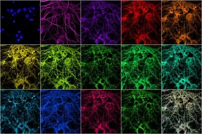 multiplexing jigsaw puzzle