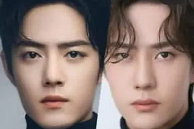 Chinese Xiao Zhan / Wang Yibo