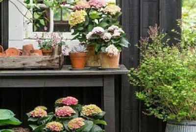 ventana jigsaw puzzle