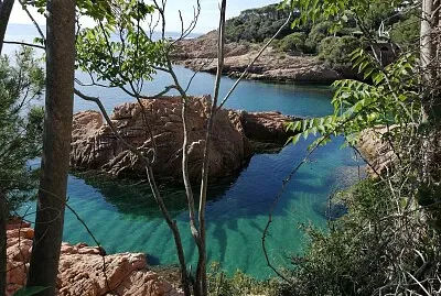 paysage