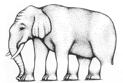 Shephard Elephant illusion