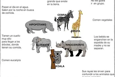 Rompecabezas de animales