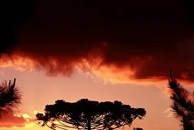 imagem jigsaw puzzle