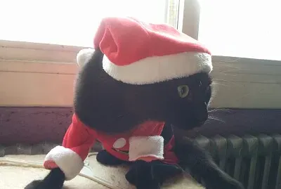 פאזל של Â¡Felices fiestas!