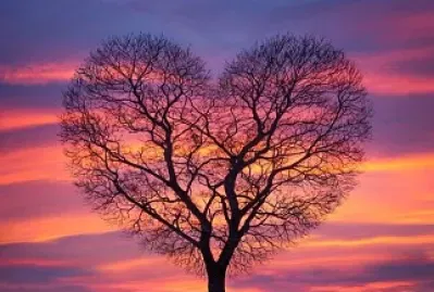 פאזל של heart tree