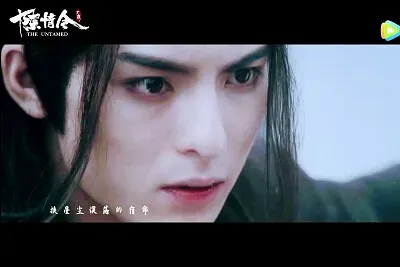 Chinese actor Wang Haoxuan jigsaw puzzle