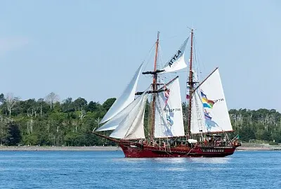 Atyla - Halifax, Nova Scotia jigsaw puzzle