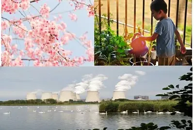 ×”×¨×›×™×‘×• ××ª ×”×¤××–×œ ×•×’×œ×• ××ª × ×•×©× ×”×©×™×¢×•×¨