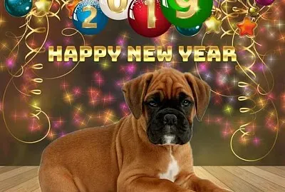 Happy New Year jigsaw puzzle