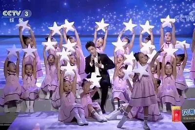 Chinese actor  Xiao Zhan