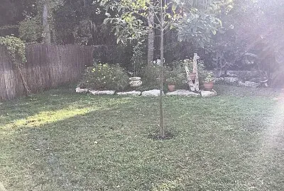 ×‘×’×™× ×” jigsaw puzzle