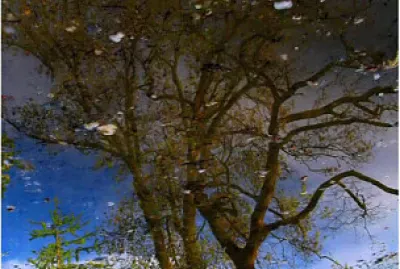 Reflet jigsaw puzzle